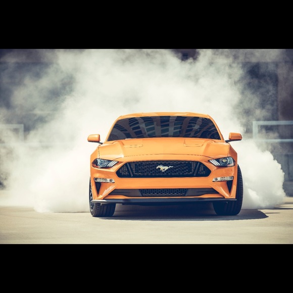 Meet your Posher, Jacob - Picture 1 of 1